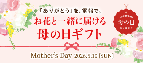 母の日バナー