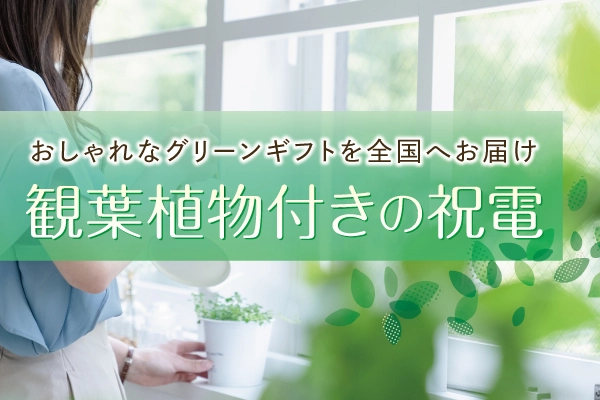 観葉植物の祝電・お祝い電報｜おしゃれなグリーンギフトを贈る