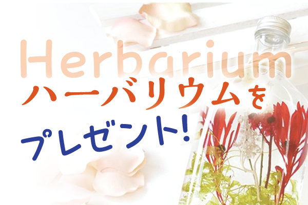 ハーバリウムのプレゼント特集｜祝電に添える華やかなギフトにおすすめ