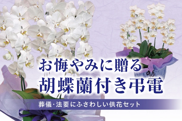 葬儀・葬式に贈る胡蝶蘭の供花と弔電のイメージ