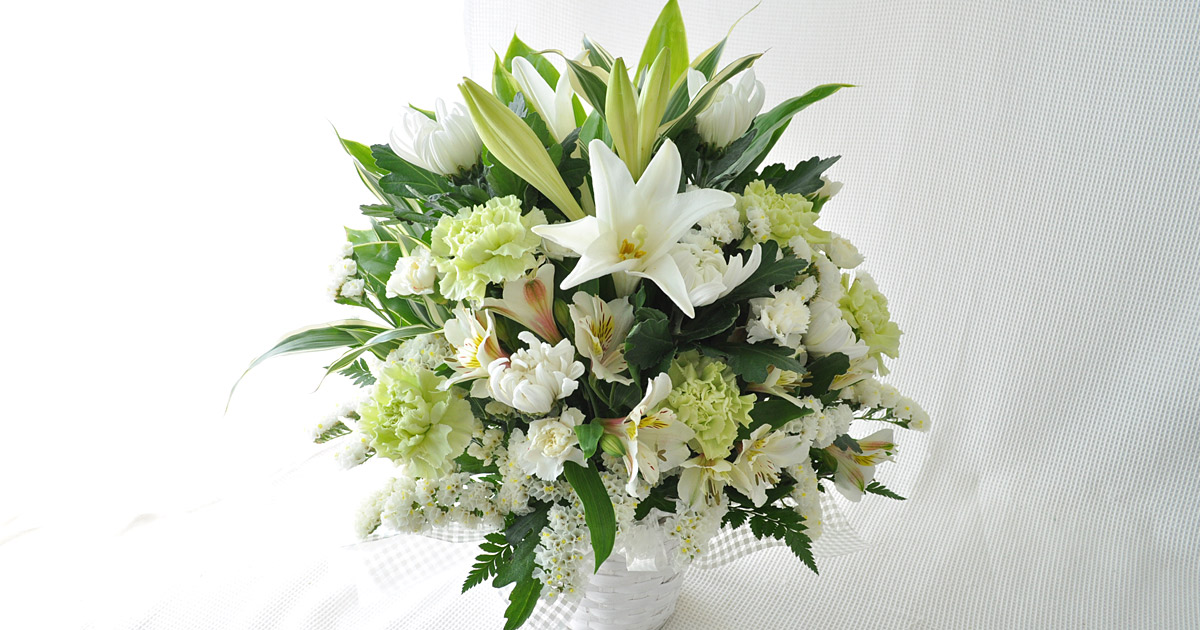 arrangement-white-og.jpg