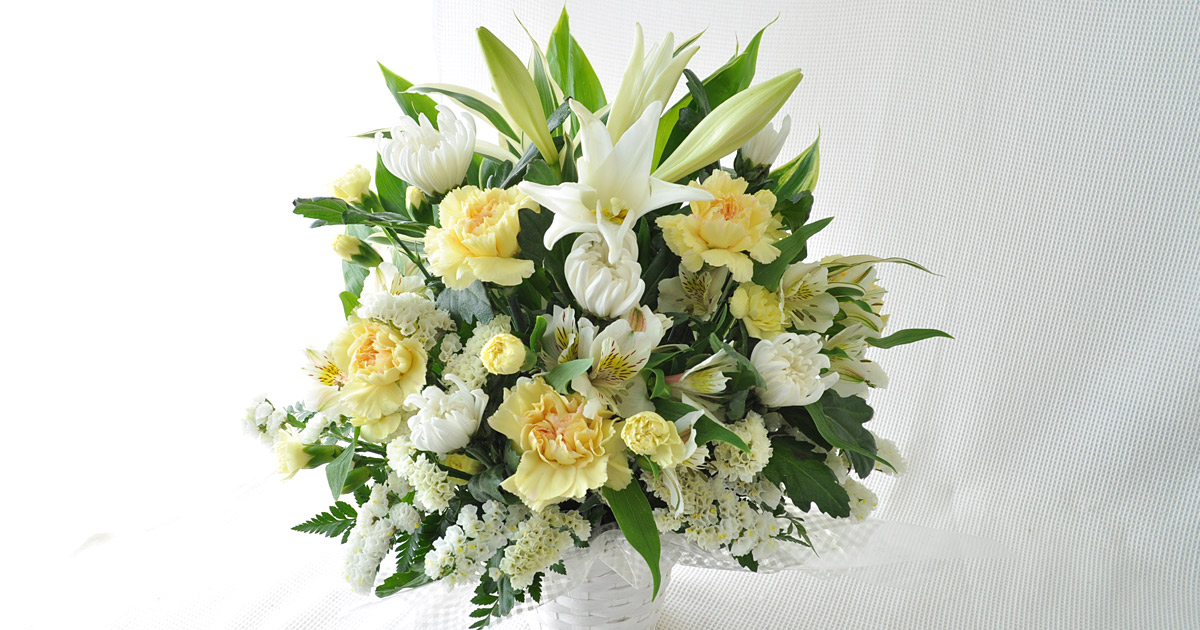 arrangement-white-yellow-og.jpg