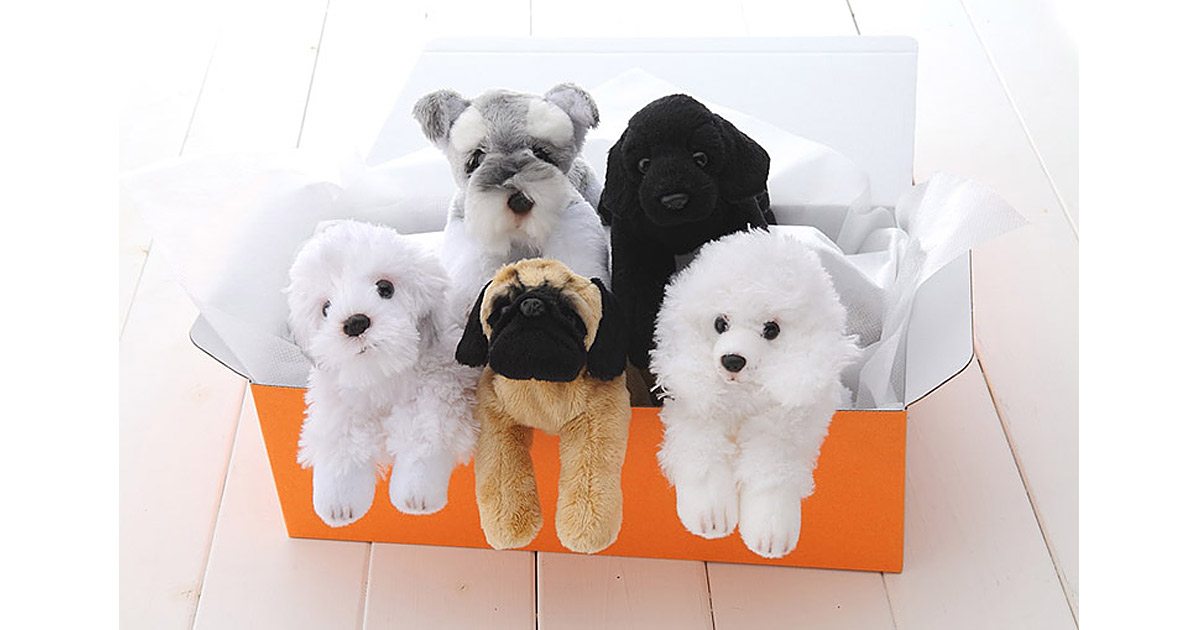Familiardogsの電報 祝電 お祝い電報のお申込みは For Denpo Familiardogsの電報 祝電 お祝い電報のお申込みは For Denpo