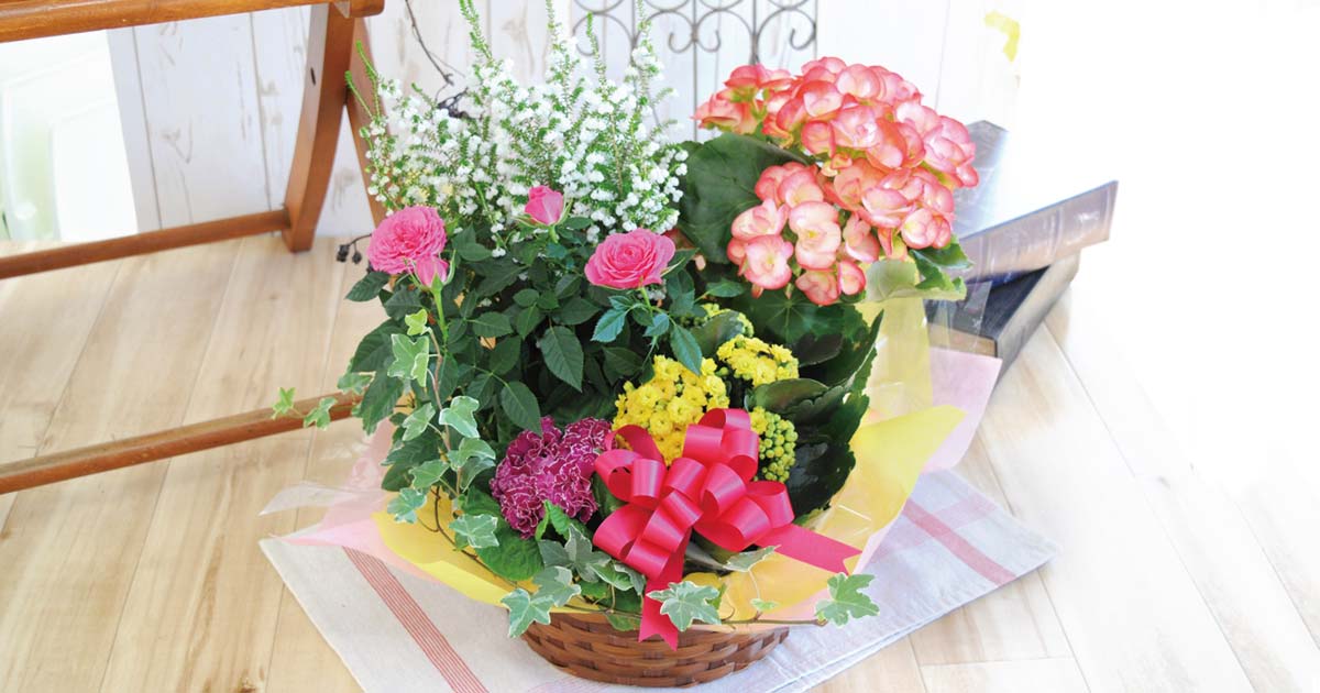 season-flower-green-l-og.jpg