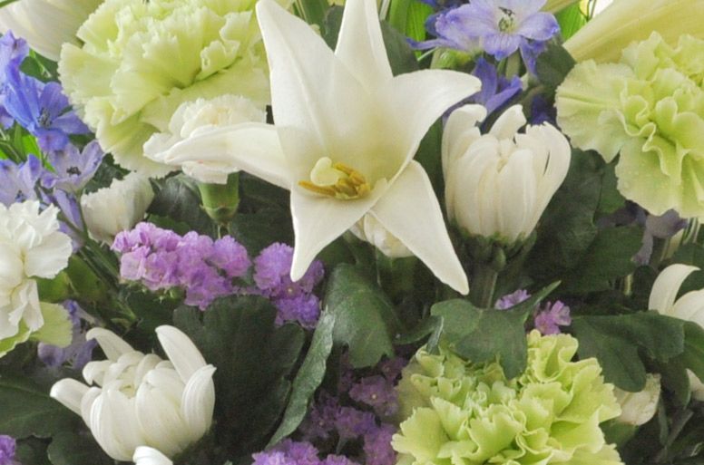 「アレンジメント（白＆紫）」の電報のお花をズームした画像