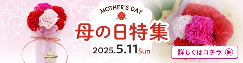 母の日特集