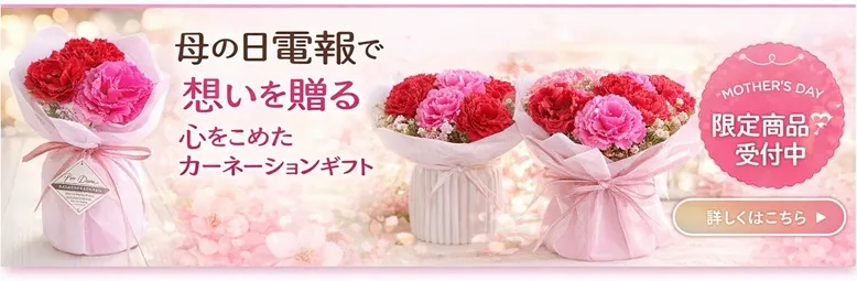 母の日の電報ギフト特集｜カーネーションと一緒に感謝を届ける母の日プレゼント｜2026年5月10日