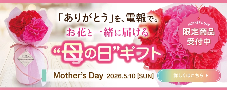 母の日の祝電ギフト｜カーネーションと一緒に感謝を届ける母の日プレゼント