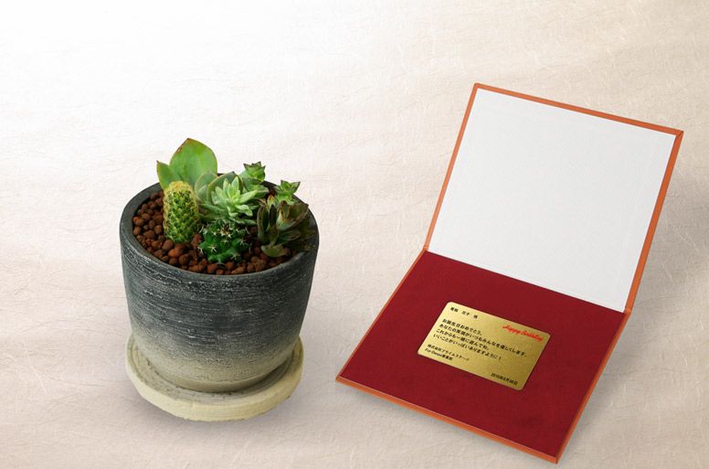 「サボテン　メッセージ」の電報の観葉植物と台紙の見開き詳細画像