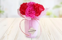 母の日電報 カーネ8輪｜赤とピンクのカーネーション花束