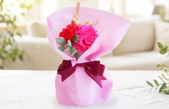 母の日電報 カーネピンク｜ピンクラッピングの花束ギフト