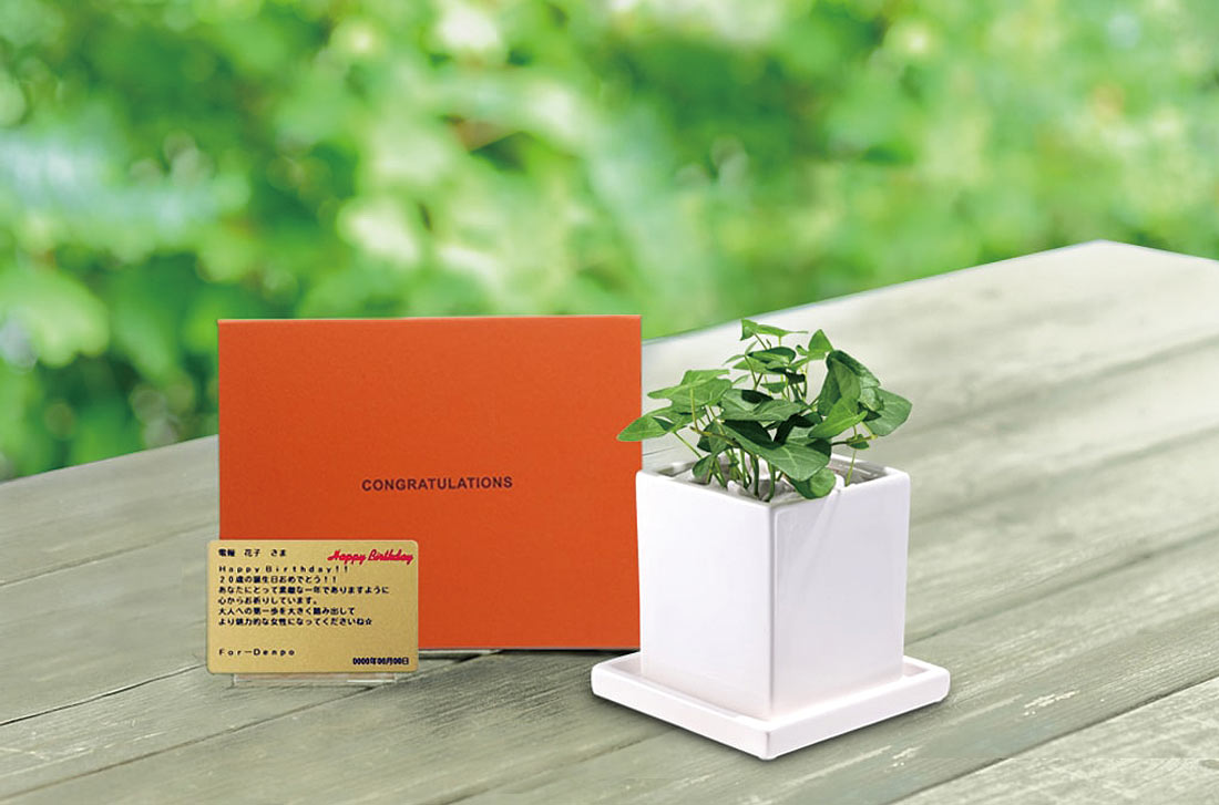 「ハートアイビー　メッセージ」の電報の観葉植物と台紙のセット画像