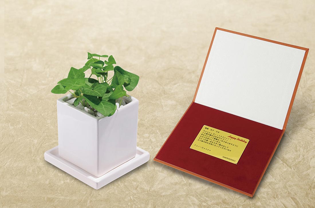 「ハートアイビー　メッセージ」の電報の観葉植物と台紙の見開き詳細画像