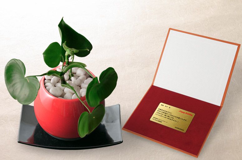 「ハートフィロデン　メッセージ」の電報の観葉植物と台紙の見開き詳細画像