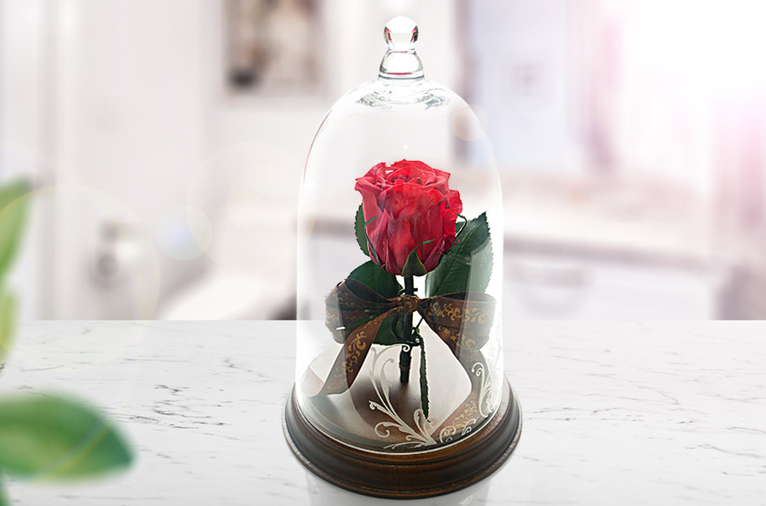 赤いバラ1本で高貴な電報の「プリザーブド　レガロ」