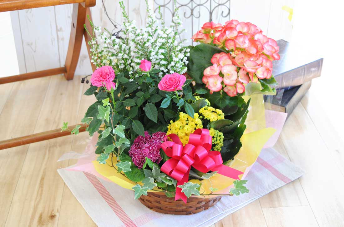 季節の花＆グリーン寄せ鉢L