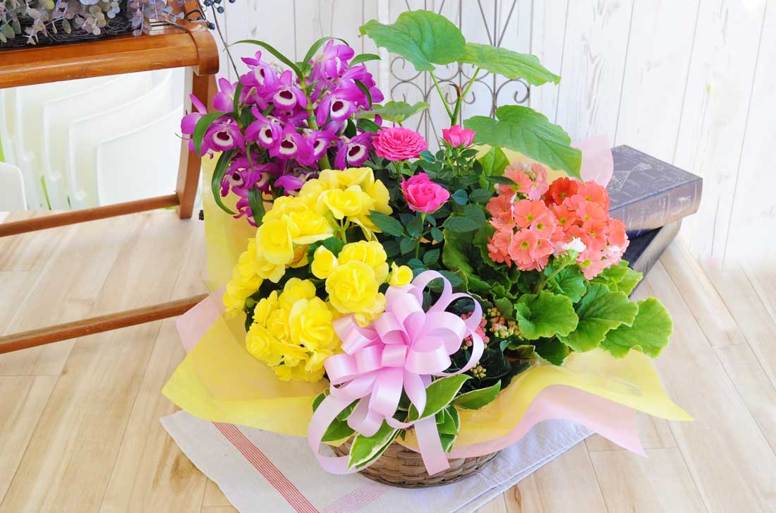 季節の花＆グリーン寄せ鉢LL