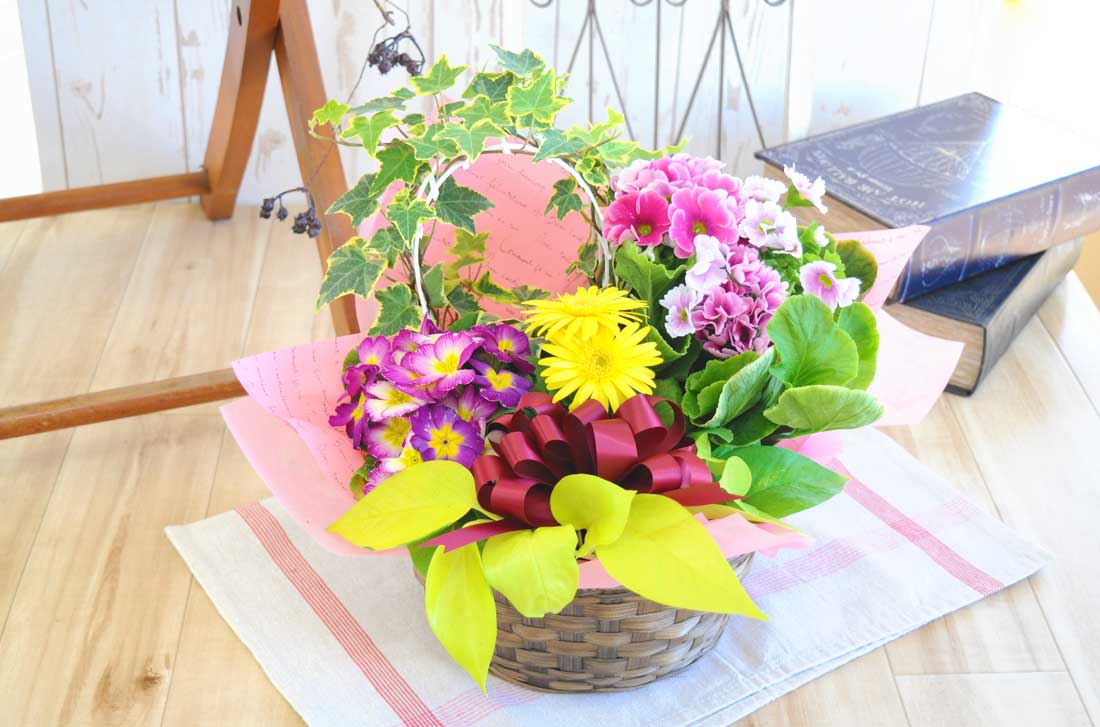 季節の花＆グリーン寄せ鉢M