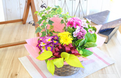 ナチュラルに生花（フラワー）とグリーンをアレンジした「季節の花＆グリーン寄せ鉢M」
