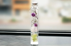 千日紅のお悔やみハーバリウム弔電