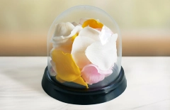 弔電向けソープフラワードーム プラスチックドームに花びらをアレンジしたお悔やみ電報