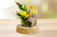 プリザーブドフラワー付きの祝電ギフト｜コルクドーム　プランツM