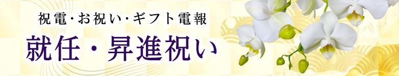 就任・昇進祝いに祝電を送る｜就任のお祝い電報は『For-Denpo』