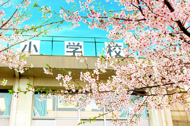 学校へ入学式用祝電を送る際は3つのマナーに注意