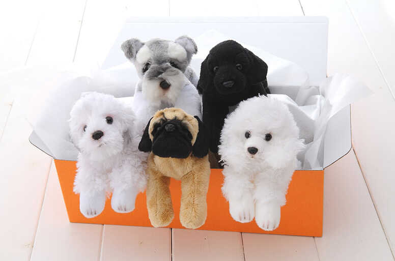 Familiar Dogs