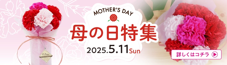 2025年母の日電報