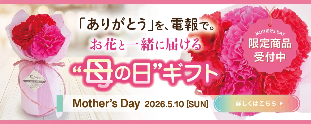 母の日の電報ギフト｜カーネーションと一緒に感謝を届ける母の日プレゼント