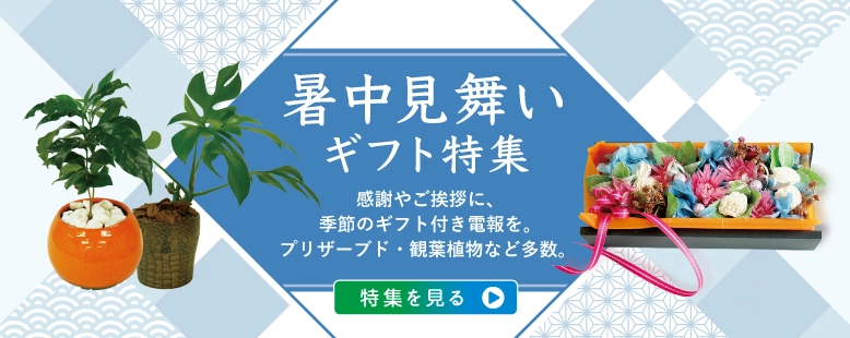 暑中見舞いギフト特集